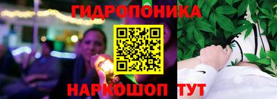 a pvp Обь